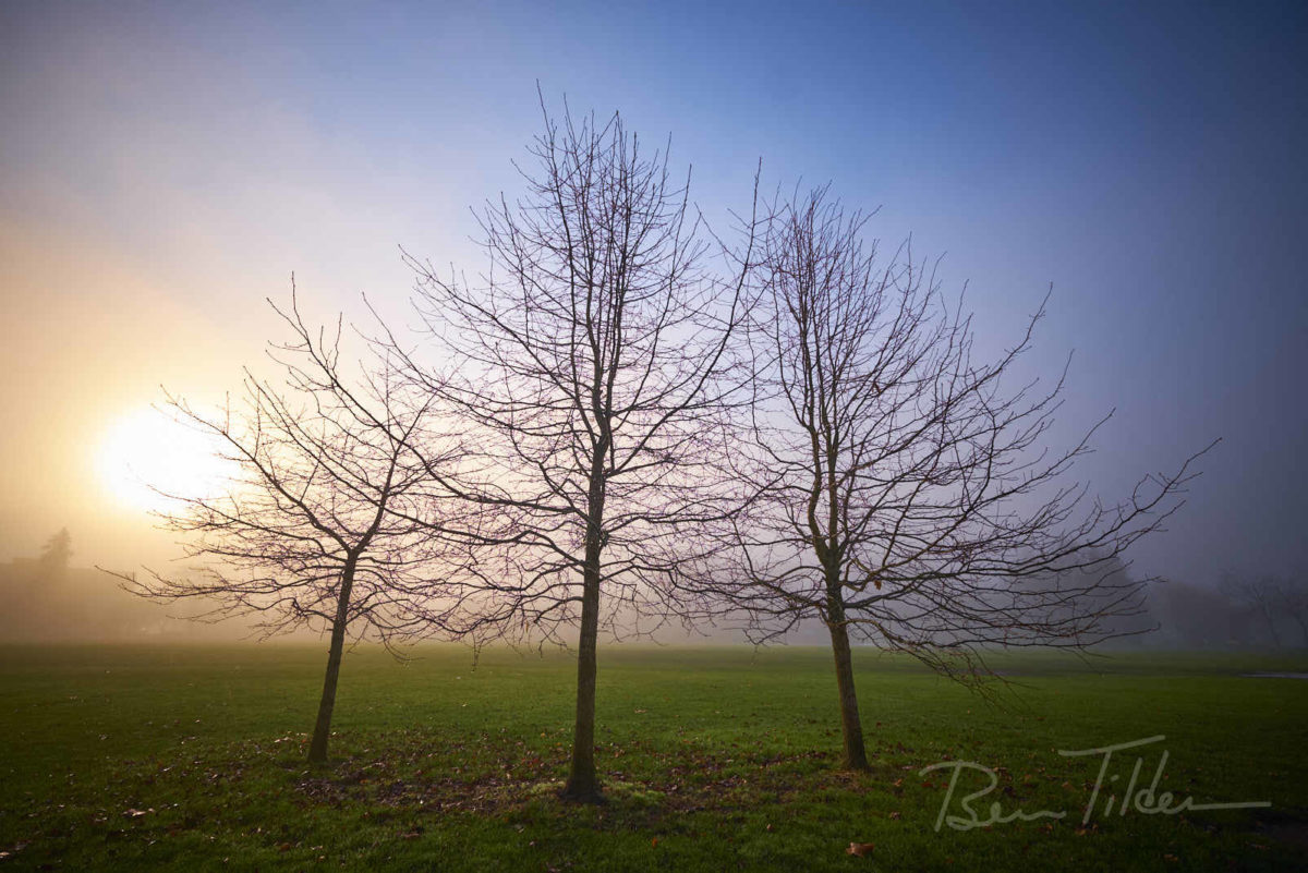 Morning fog