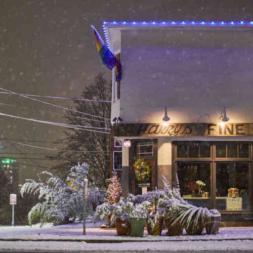 Harry's Fine Foods, Christmas 2017